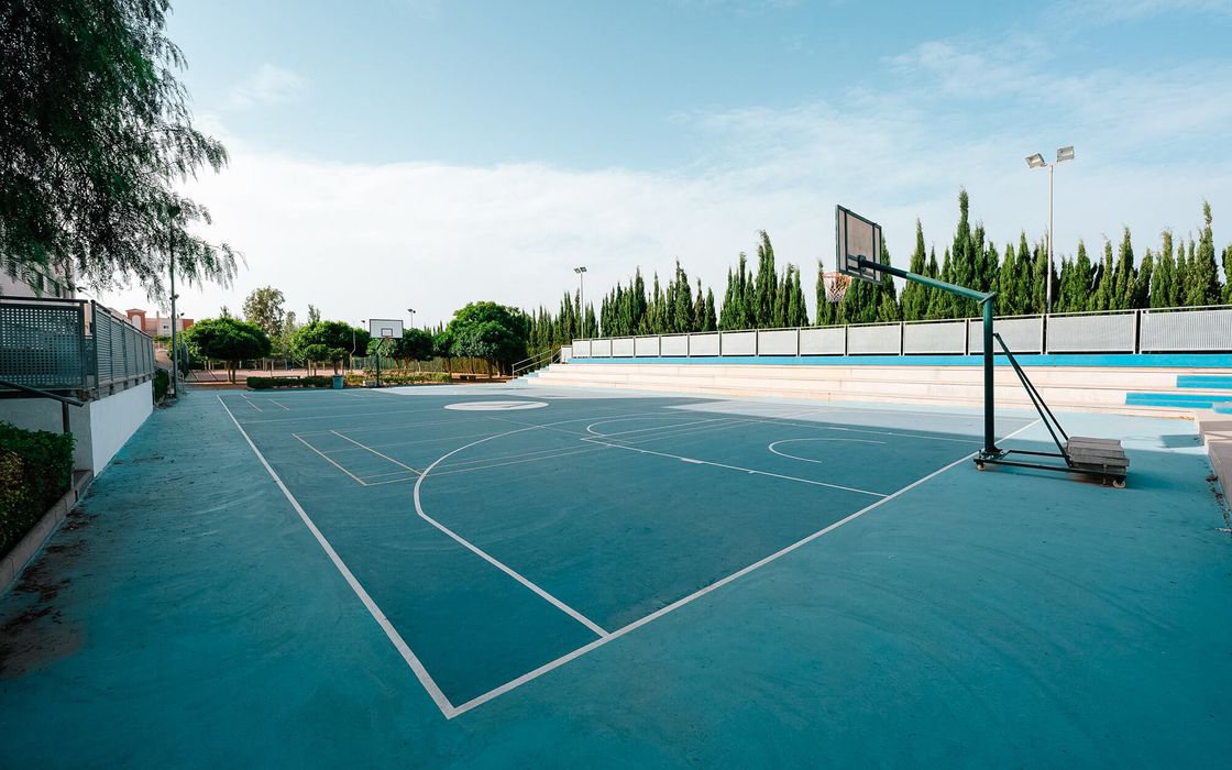 Pista de baloncesto exterior con gradas, rodeada de cipreses