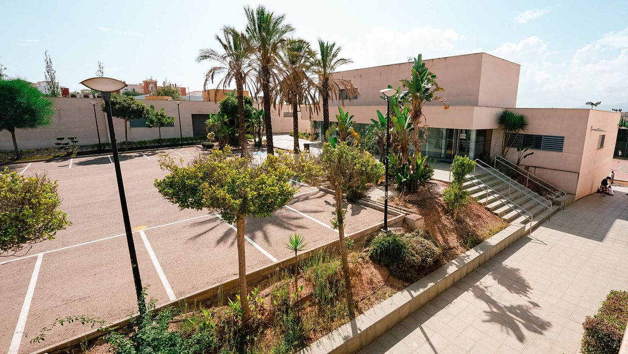 Acceso al edificio principal del colegio, entre palmeras y jardines